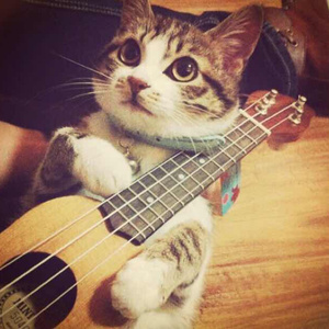 冢本亨利农村剧
